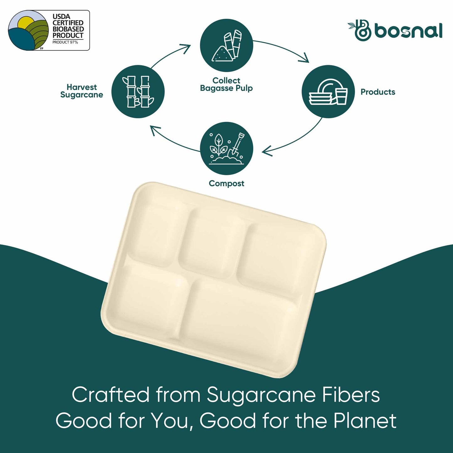 Bosnal - Sugarcane Bagasse Compostable Trays, 10 inch 5-Compartment, Rectangle