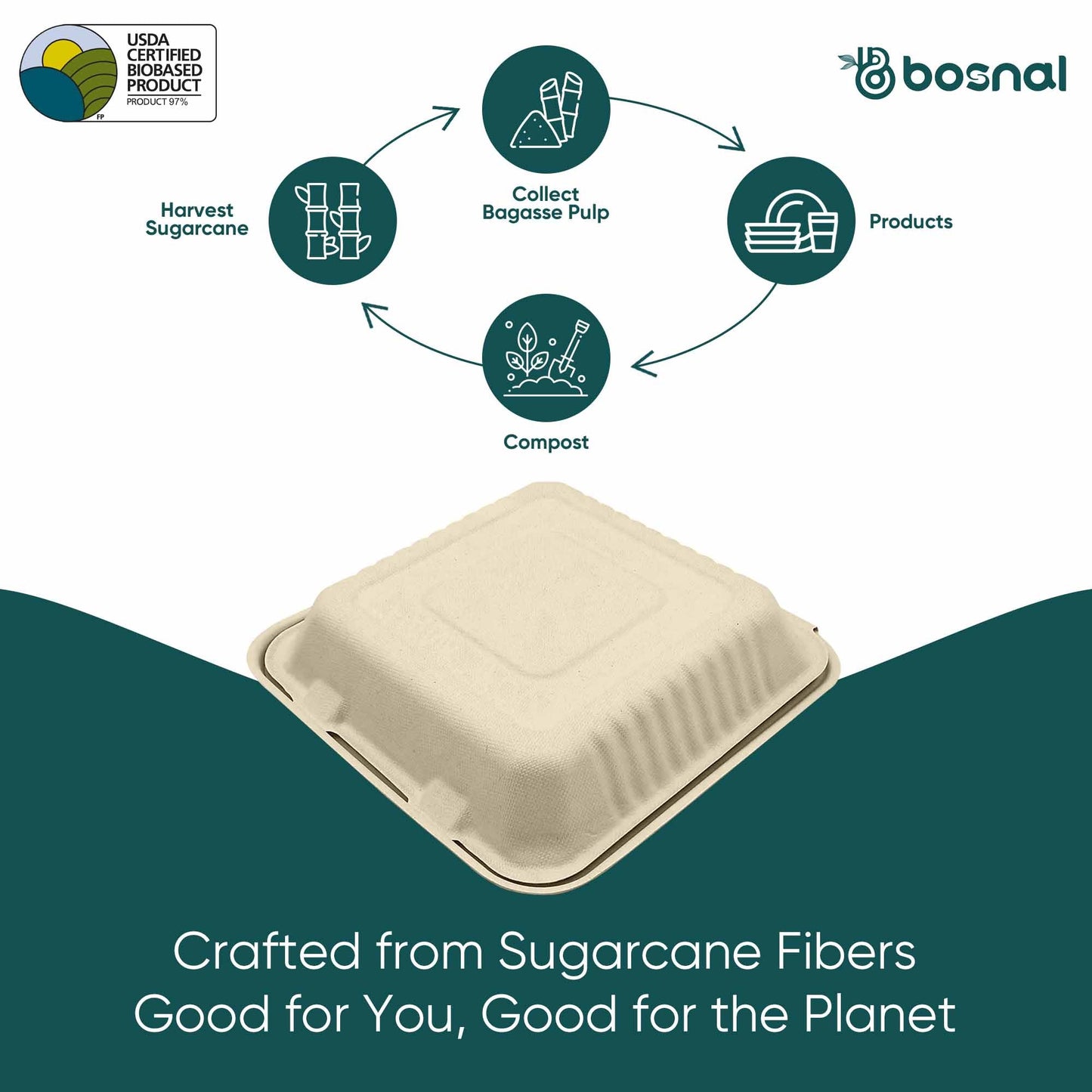 Bosnal - Sugarcane Bagasse Compostable 9 Inch 3-Compartment Clamshell - Case of 8 (200 Pcs)