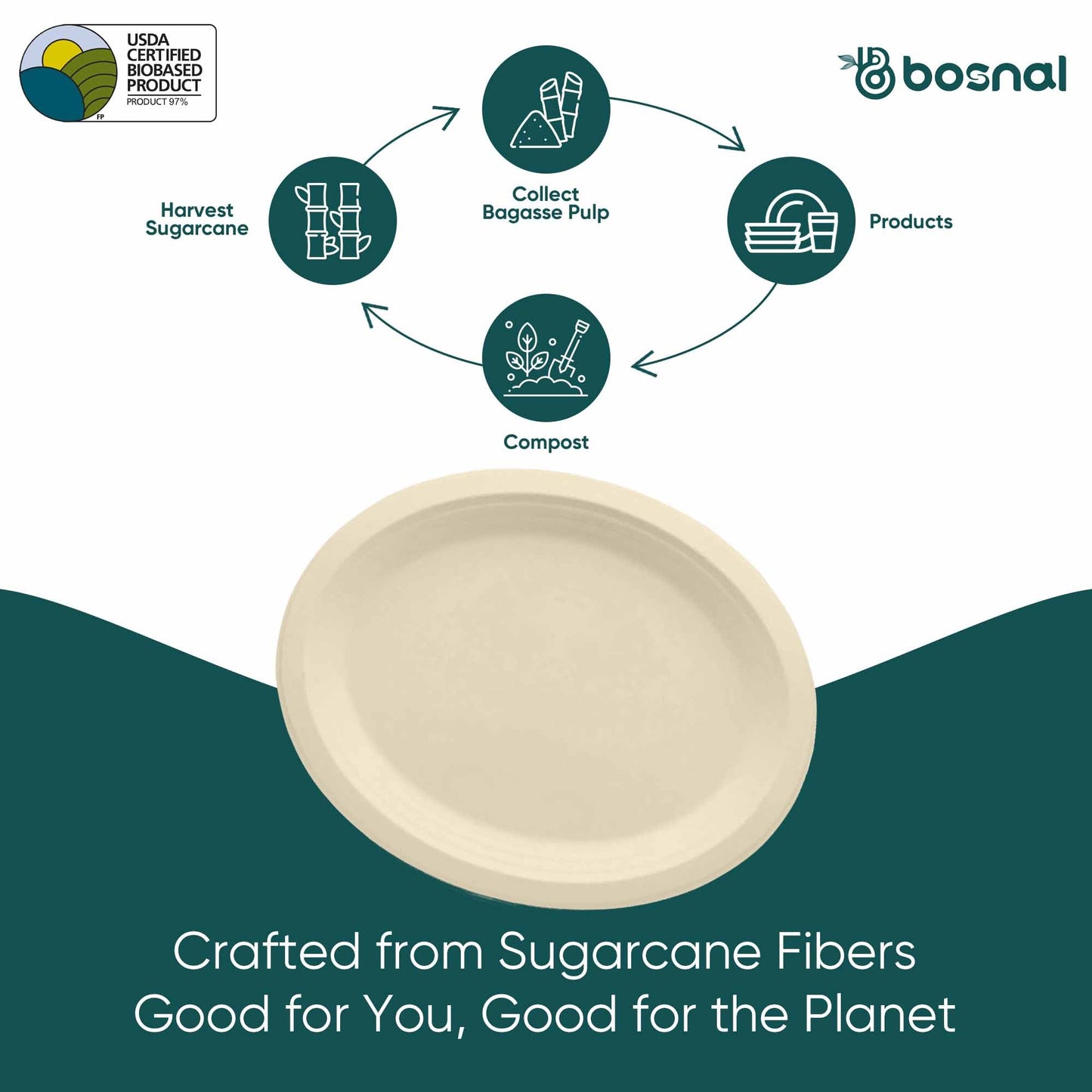 Bosnal - Sugarcane Bagasse Compostable 10 inch Oval Plates - Case of 20 (500 Pcs)
