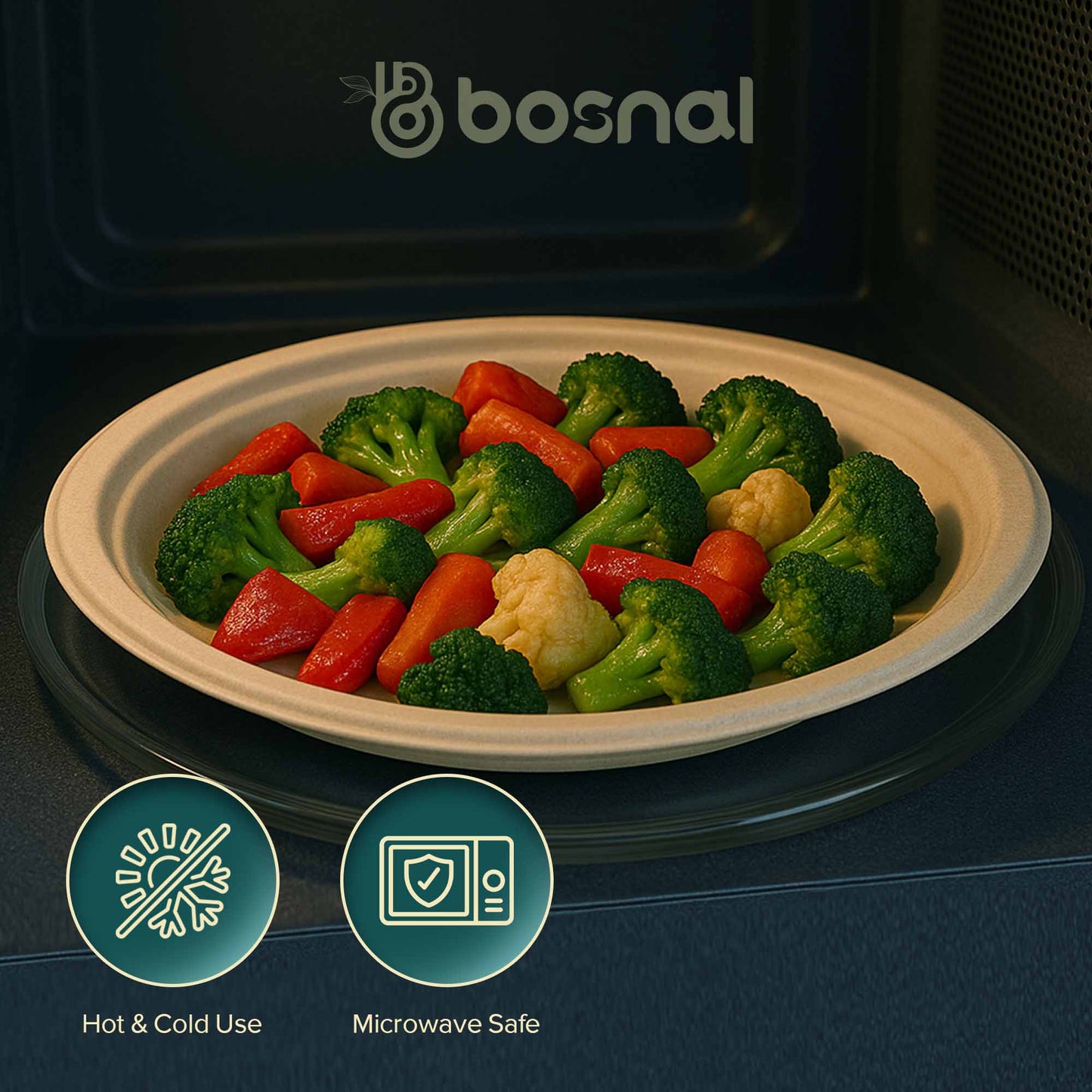 Bosnal - Sugarcane Bagasse Compostable 10 inch Round Plates - Case of 20 (500 Pcs)
