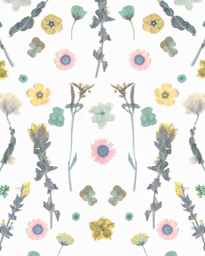 Pressed Fresh Version 02 Wallpaper, pink & yellow