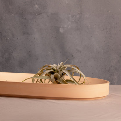 Valley Oval Platter