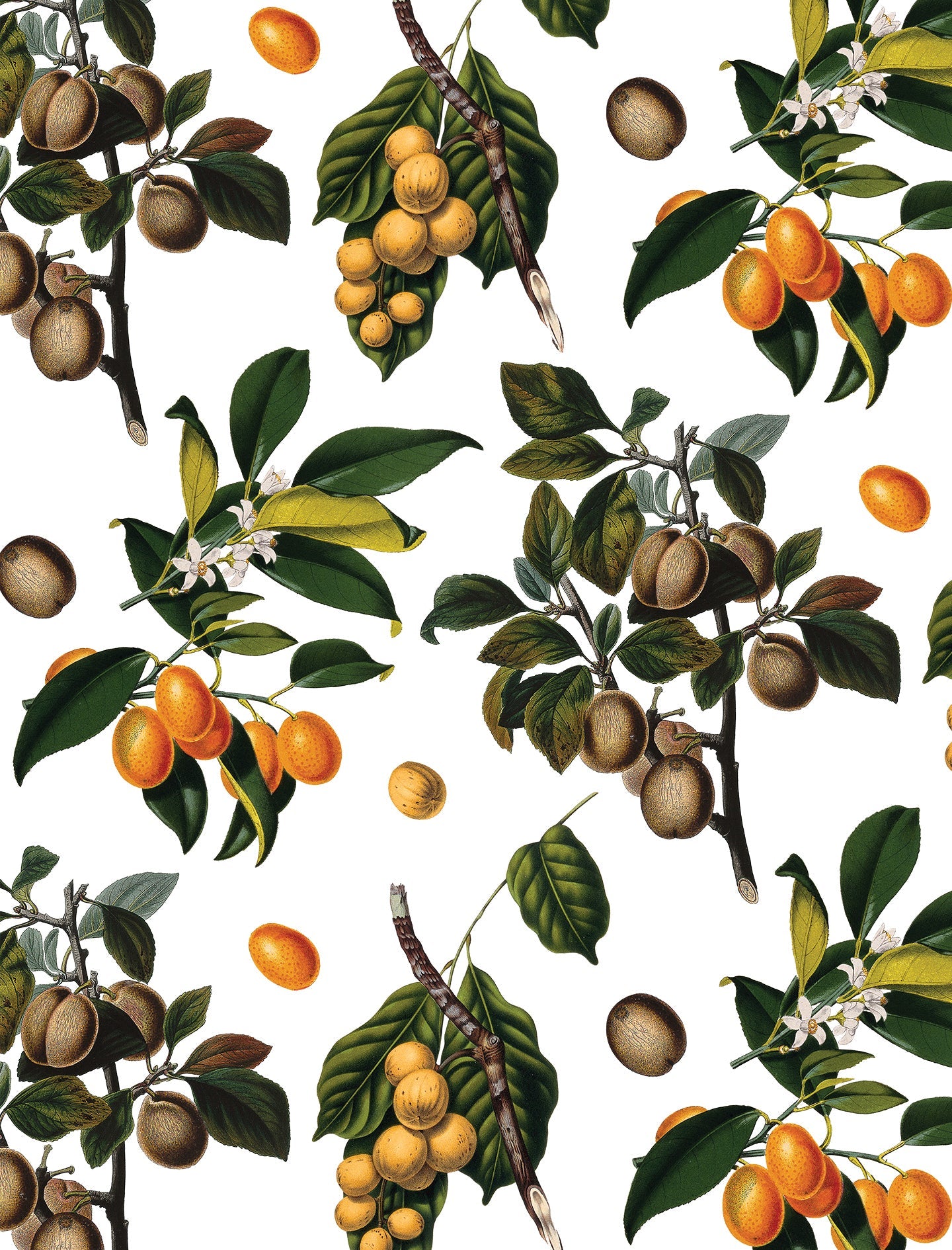 Vintage Orchard Wallpaper, white